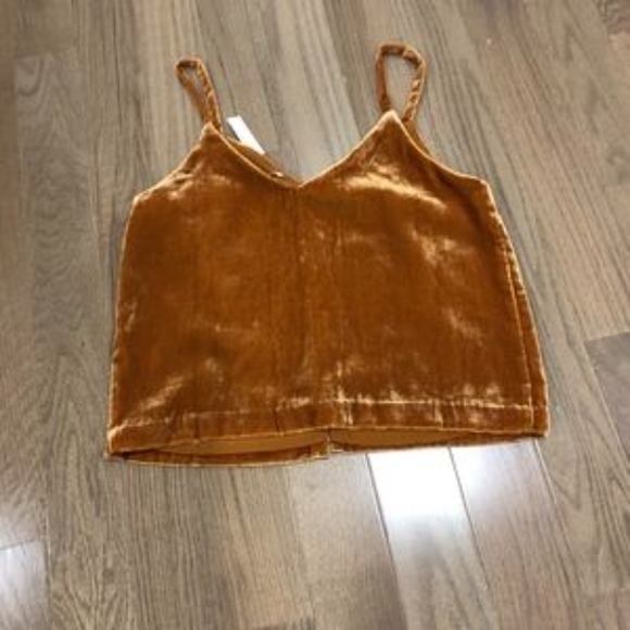 Madewell Velvet Button-Down Cami - Picture 2 of 8